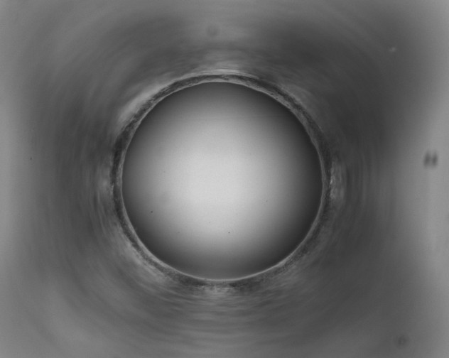 X0000111501452200907141301