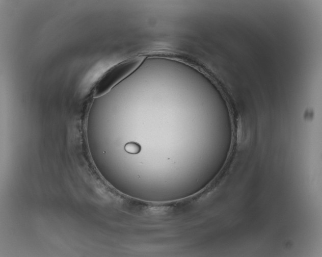 X0000111501453200907141301