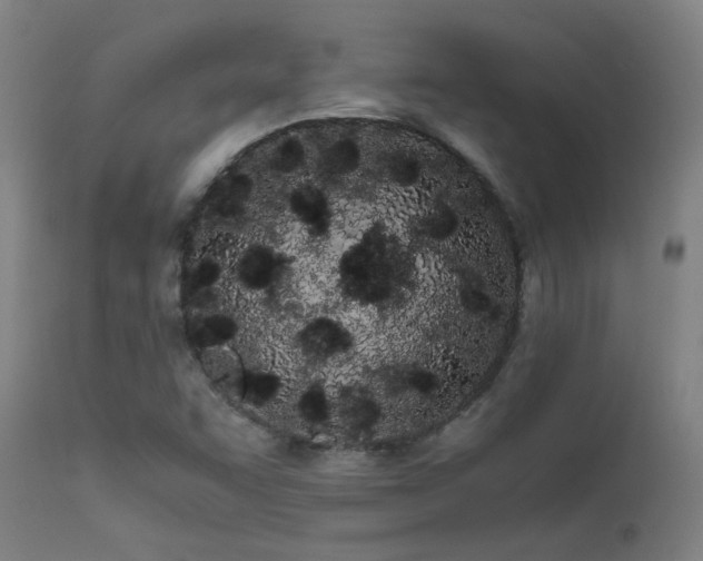 X0000111501455200907141301