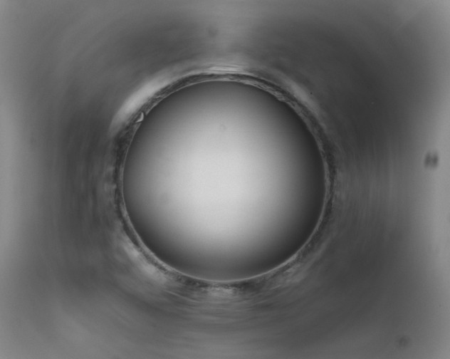 X0000111501456200907141301