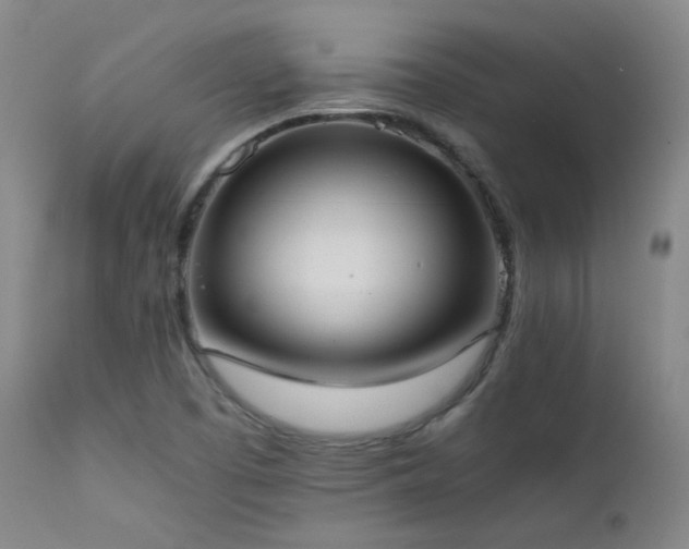 X0000111501457200907141301