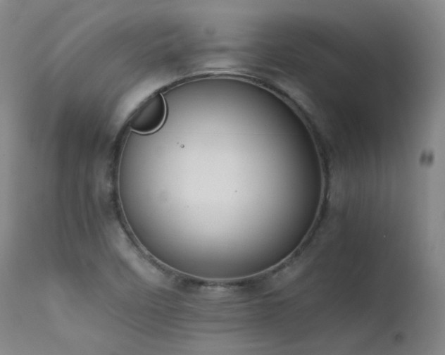 X0000111501458200907141301