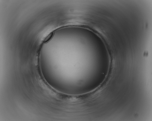 X0000111501459200907141301