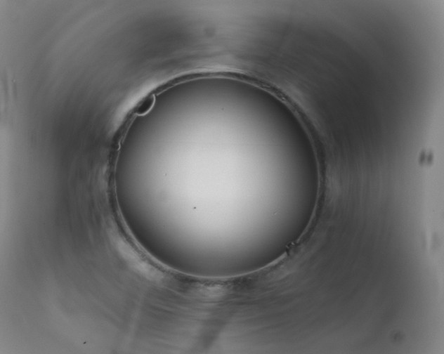 X0000111501460200907141301