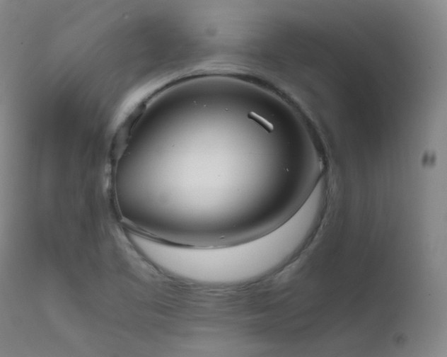 X0000111501461200907141301