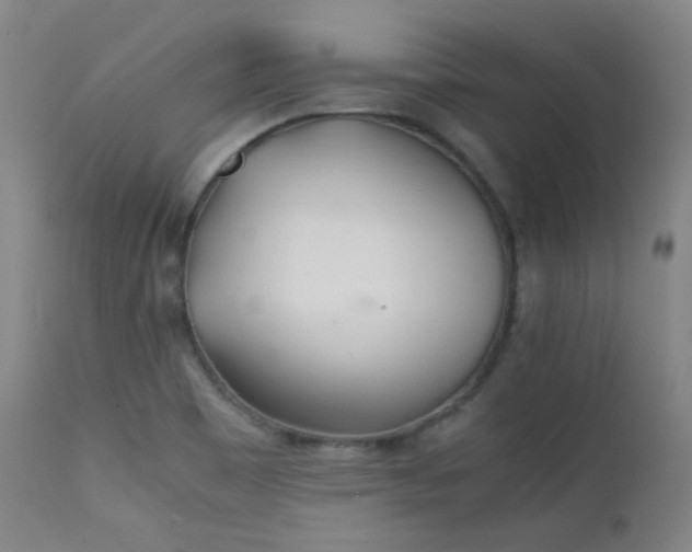 X0000111501465200907141301