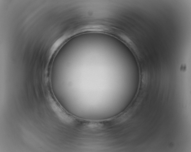X0000111501466200907141301