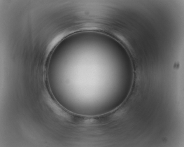 X0000111501467200907141301