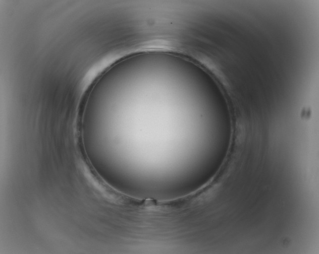 X0000111501469200907141301