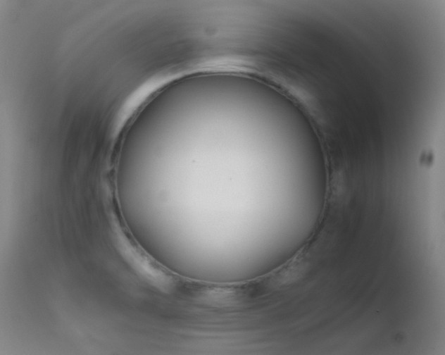 X0000111501470200907141301