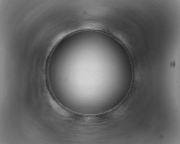 X0000111501471200907141301