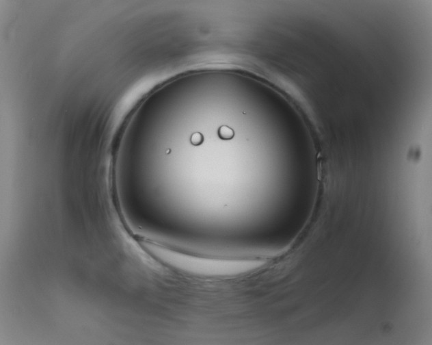 X0000111501472200907141301