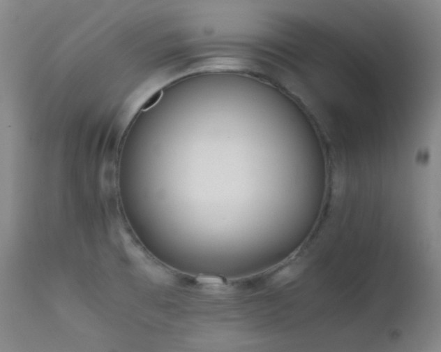 X0000111501473200907141301