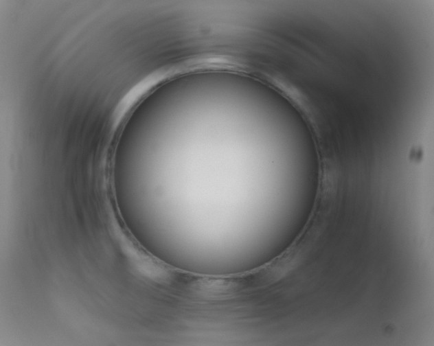 X0000111501474200907141301