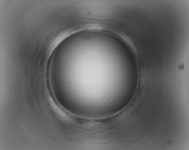 X0000111501475200907141301