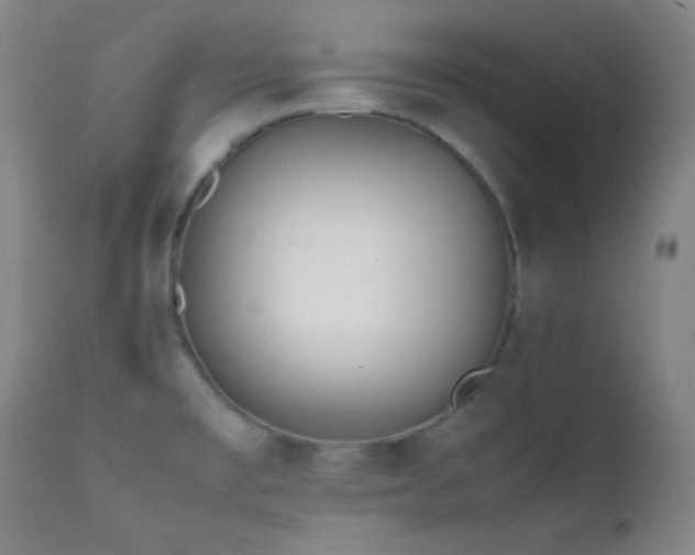 X0000111501477200907141301