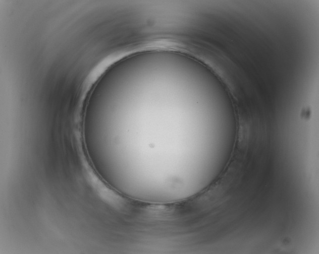 X0000111501478200907141301