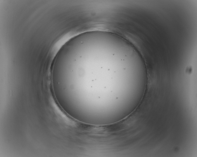 X0000111501479200907141301