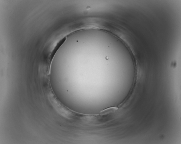 X0000111501481200907141301