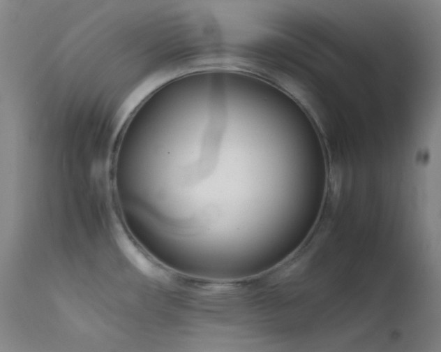 X0000111501482200907141301