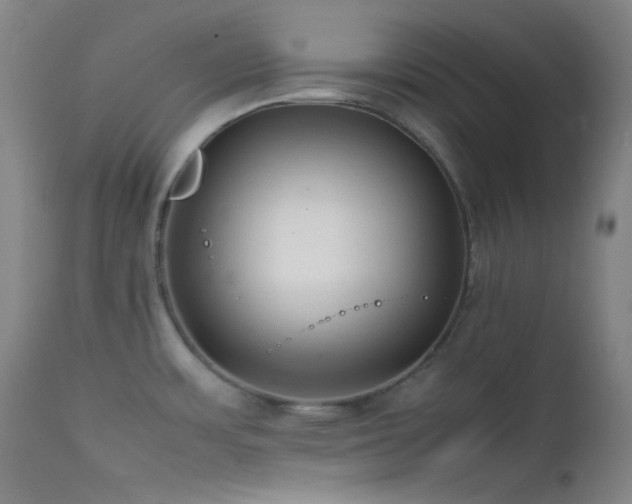 X0000111501483200907141301