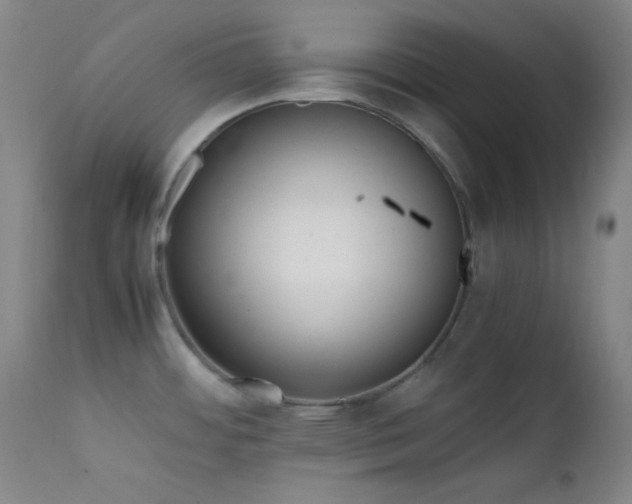 X0000111501484200907141301