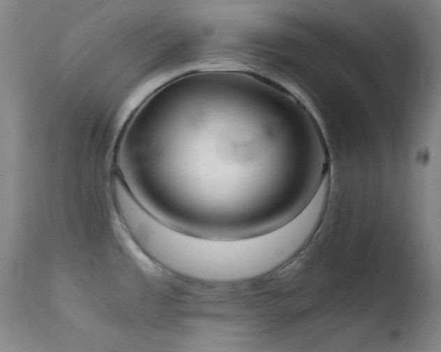 X0000111501485200907141301