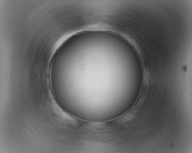 X0000111501486200907141301