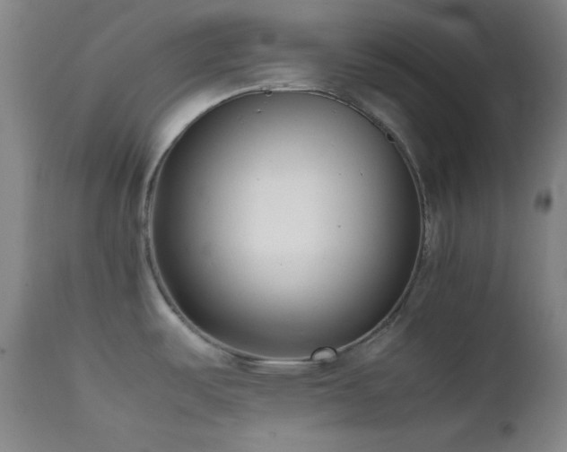 X0000111501487200907141301