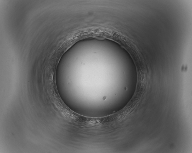 X0000111501489200907141300