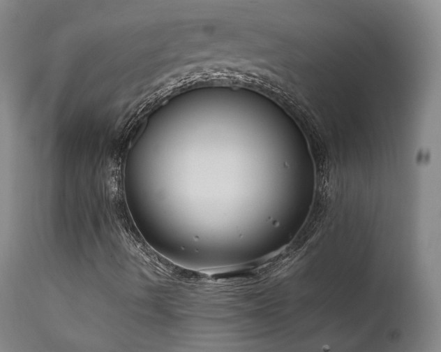 X0000111501490200907141300