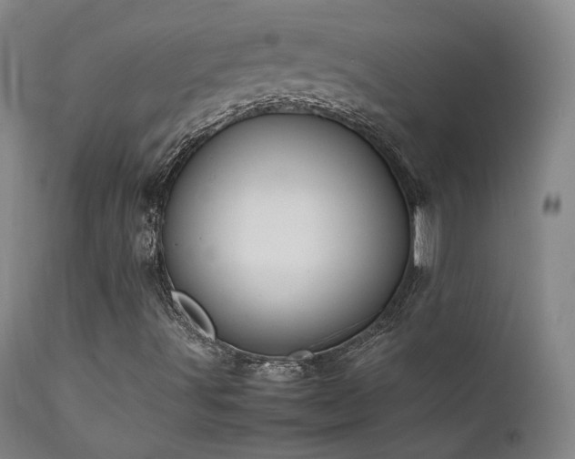 X0000111501491200907141300