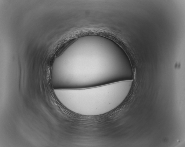 X0000111501492200907141300