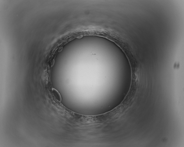 X0000111501493200907141300