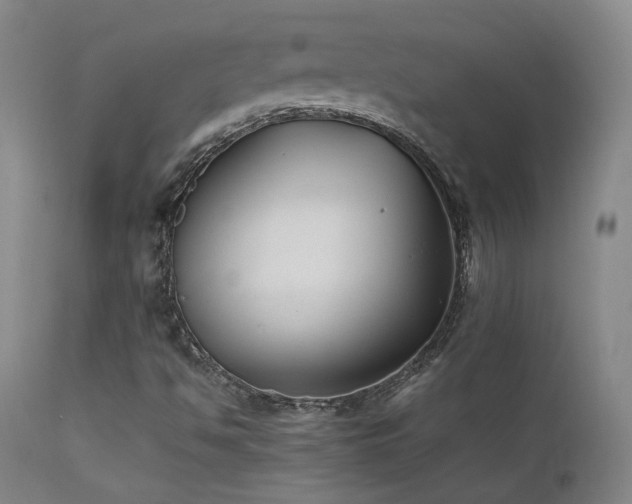 X0000111501494200907141300