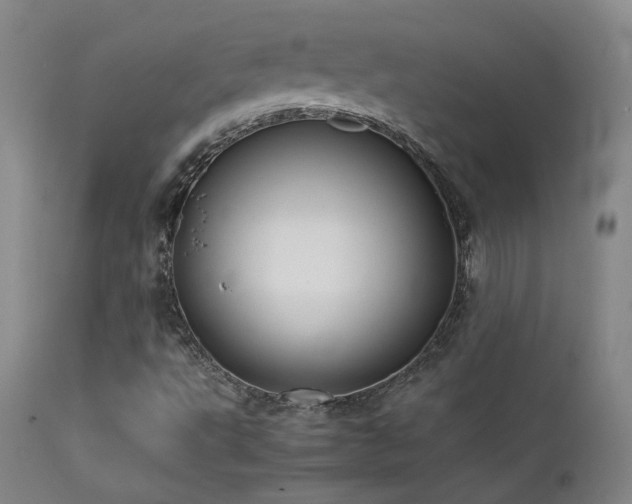 X0000111501495200907141300