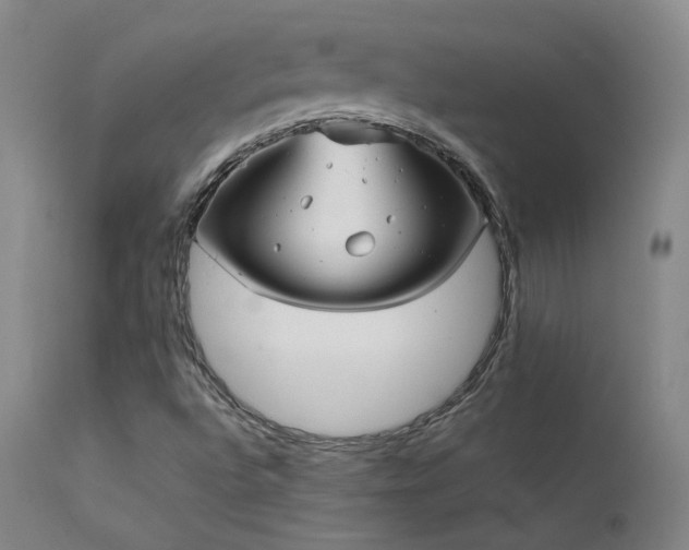 X0000111501496200907141300