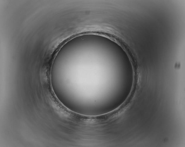 X0000111501497200907141300