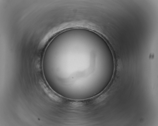 X0000111501499200907141300