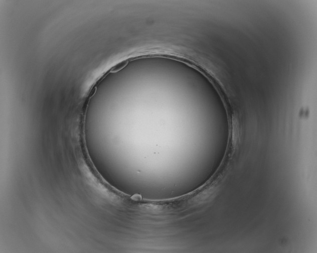 X0000111501500200907141300