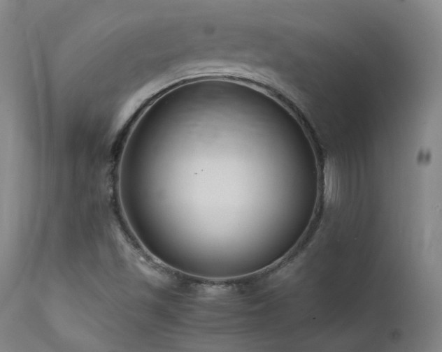 X0000111501501200907141300