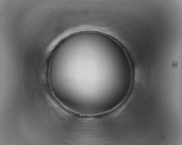 X0000111501502200907141300