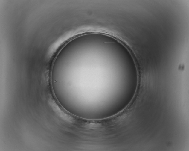 X0000111501503200907141300