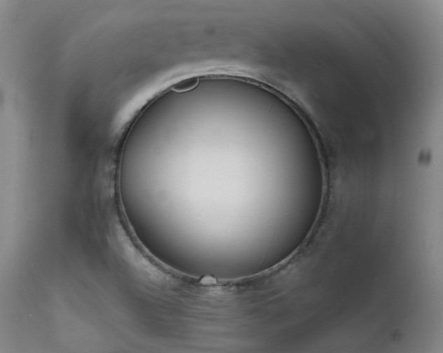 X0000111501504200907141300