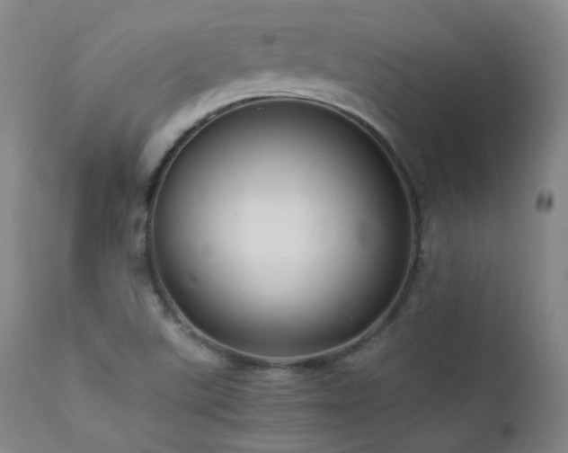 X0000111501507200907141300