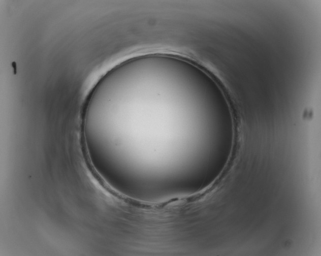 X0000111501508200907141300