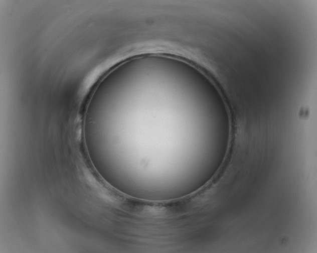 X0000111501509200907141300