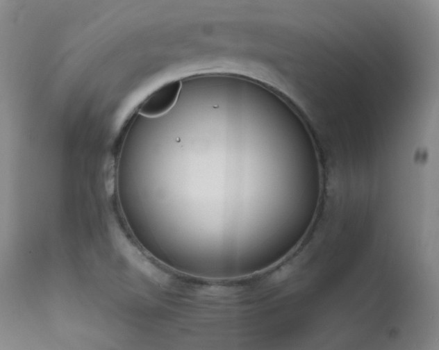 X0000111501510200907141300