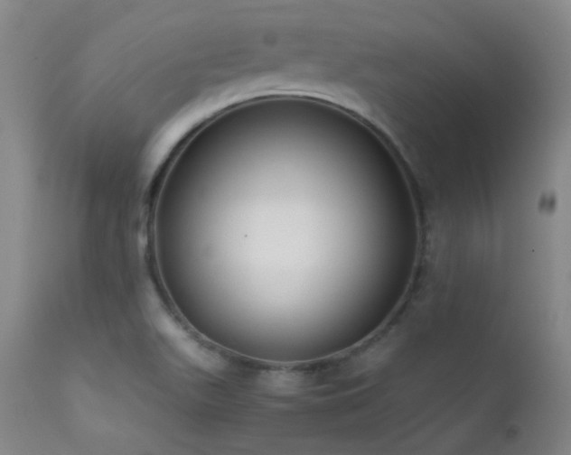 X0000111501511200907141300