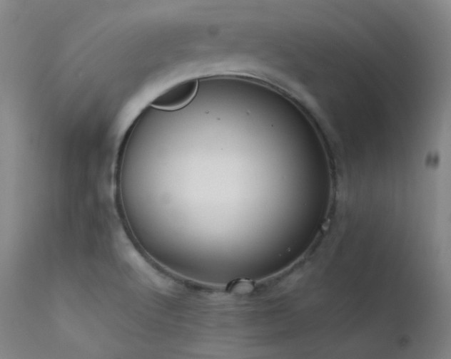 X0000111501512200907141300